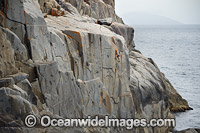 Rock Climbers White Water Wall Photo - Gary Bell
