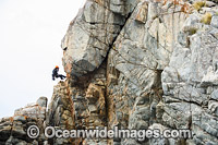 Rock Climbers Frecyenit National Park Photo - Gary Bell