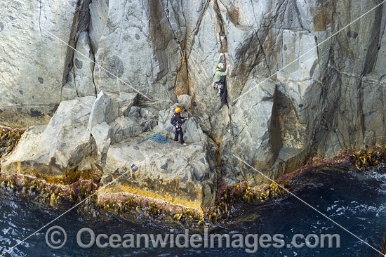 Rock Climbers Beowulf Wall photo