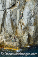 Rock Climbers Beowulf Wall Photo - Gary Bell