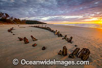 Buster Shipwreck at sunrise Photo - Gary Bell