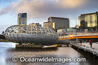 Web Bridge Melbourne Photo - Gary Bell