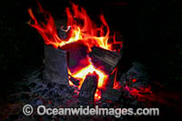 Campfire in outback Photo - Gary Bell
