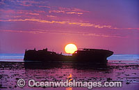 Protector shipwreck Heron Island Photo - Gary Bell