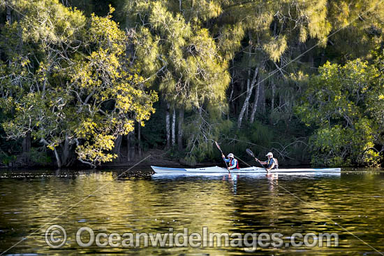 Kayaking Bonville Creek photo