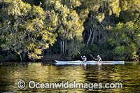 Kayaking Bonville Creek Photo - Gary Bell