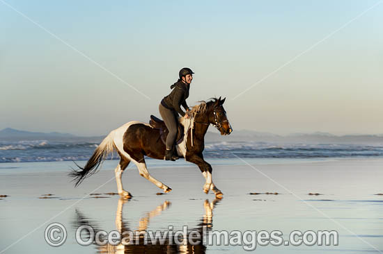 Horseriding on beach NSW photo