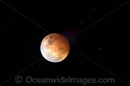 Super Blood Moon photo