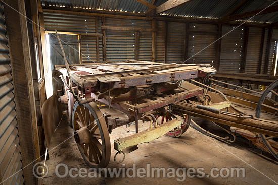 Horse Drawn wagon photo