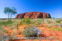 Uluru Ayers Rock Photo - Gary Bell
