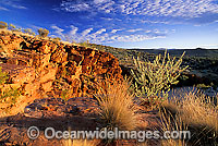 Trephina Gorge MacDonnell Ranges Photo - Gary Bell