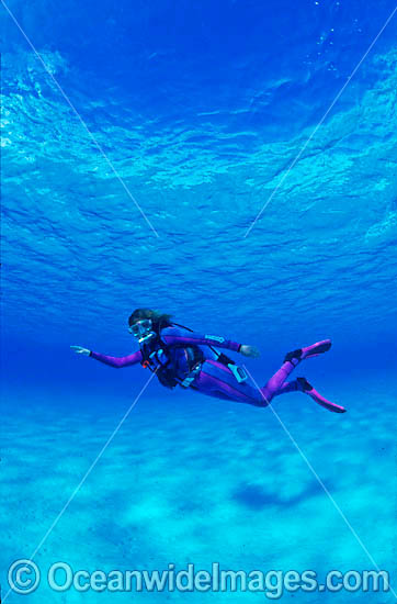 Scuba Diver in Great Barrier Reef photo