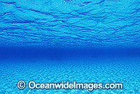 Underwater seascape sandy ocean surface Photo - Gary Bell