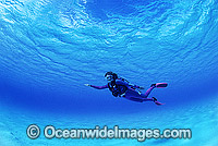 Scuba Diver clear blue water Photo - Gary Bell