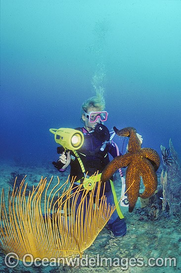 Scuba Diver with Giant Starfish photo