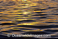 Ocean surface reflection Photo - Gary Bell