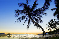 Seascape - Coconut palm beach and Lagoon Bay at sunset. Hayman Island, Whitsunday Islands, Queensland, Australia