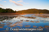 Exposed sand flats at Hayman Island during low tide, showing Hook Island in the background. Whitsunday Islands, Queensland, Australia