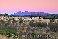 Kata Tjuta (Olgas) at dawn. Uluru - Kata Tjuta World Heritage National Park, Central Australia.