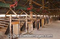 Historic Mungo Woolshed, believed to have been built in 1869. Situated in Mungo National Park, New South Wales, Australia