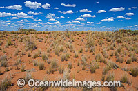 Outback desert landscape. Photo taken near Broken Hill, New South Wales, Australia.