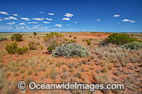 Outback desert landscape. Photo taken near Broken Hill, New South Wales, Australia.