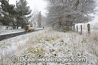 Country road cloaked in snow, Black Mountain, New England Tableland, New South Wales, Australia.