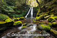 Cascade Falls. New England World Heritage National Park, New South Wales, Australia. This rainforest is on the World Heritage List in recognition of its outstanding universal value.
