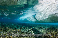 Surf crashing over a coral reef platform. Indo Pacific.
